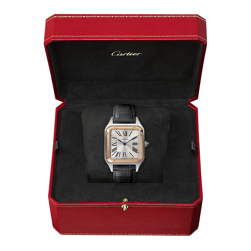 Cartier Santos-Dumont Large W2SA0011