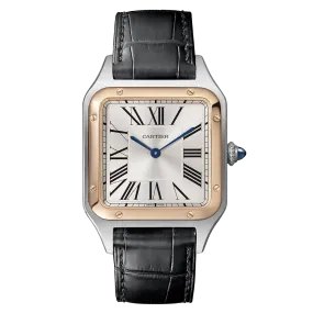 Cartier Santos-Dumont Large W2SA0011