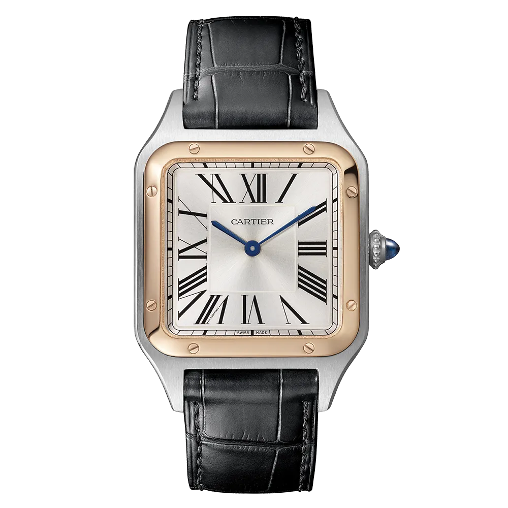 Cartier Santos-Dumont Large W2SA0011