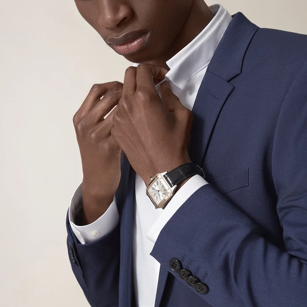 Cartier Santos-Dumont Large W2SA0011