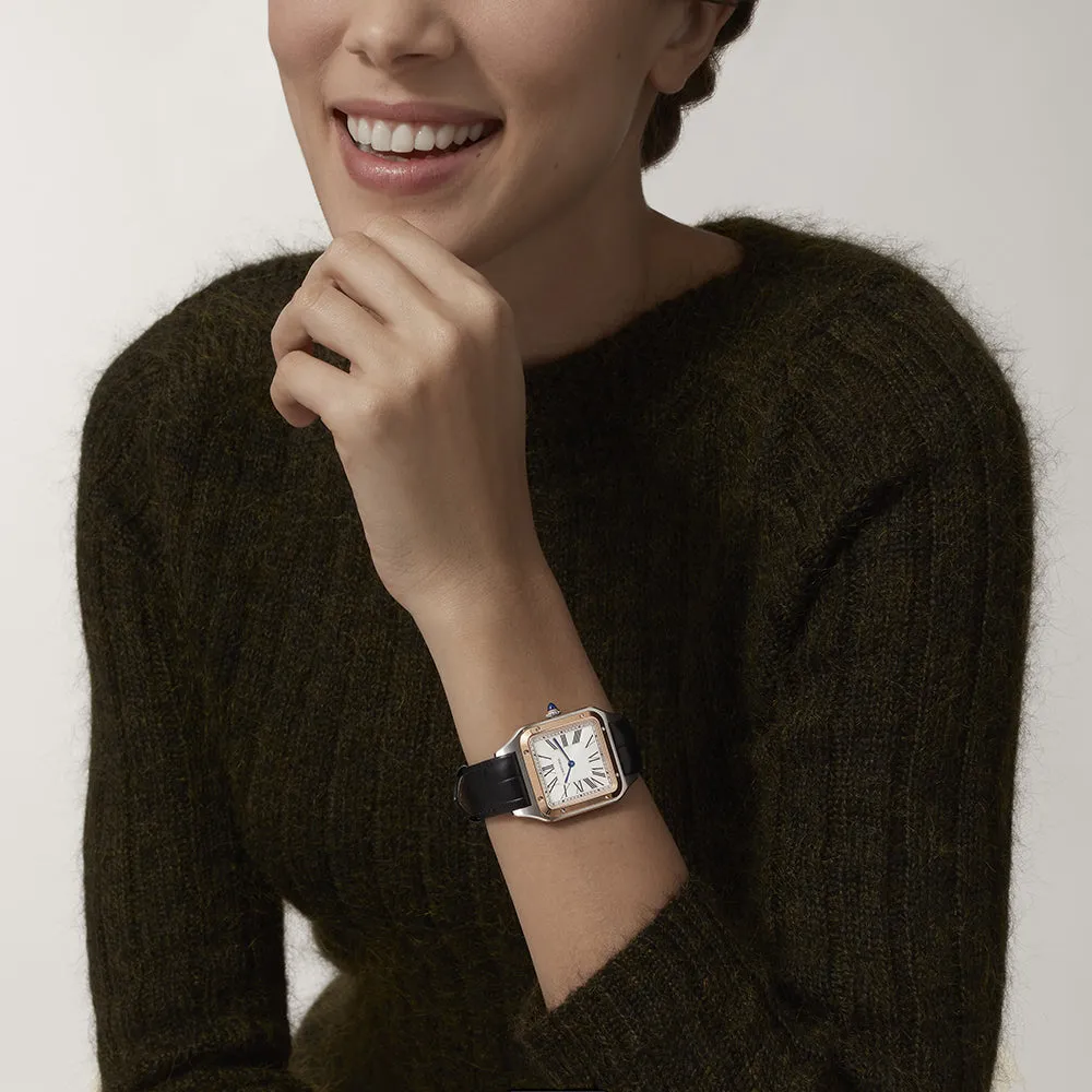 Cartier Santos-Dumont Large W2SA0011