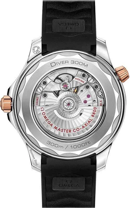 Omega Seamaster Diver 300M Watch 210.22.42.20.01.002