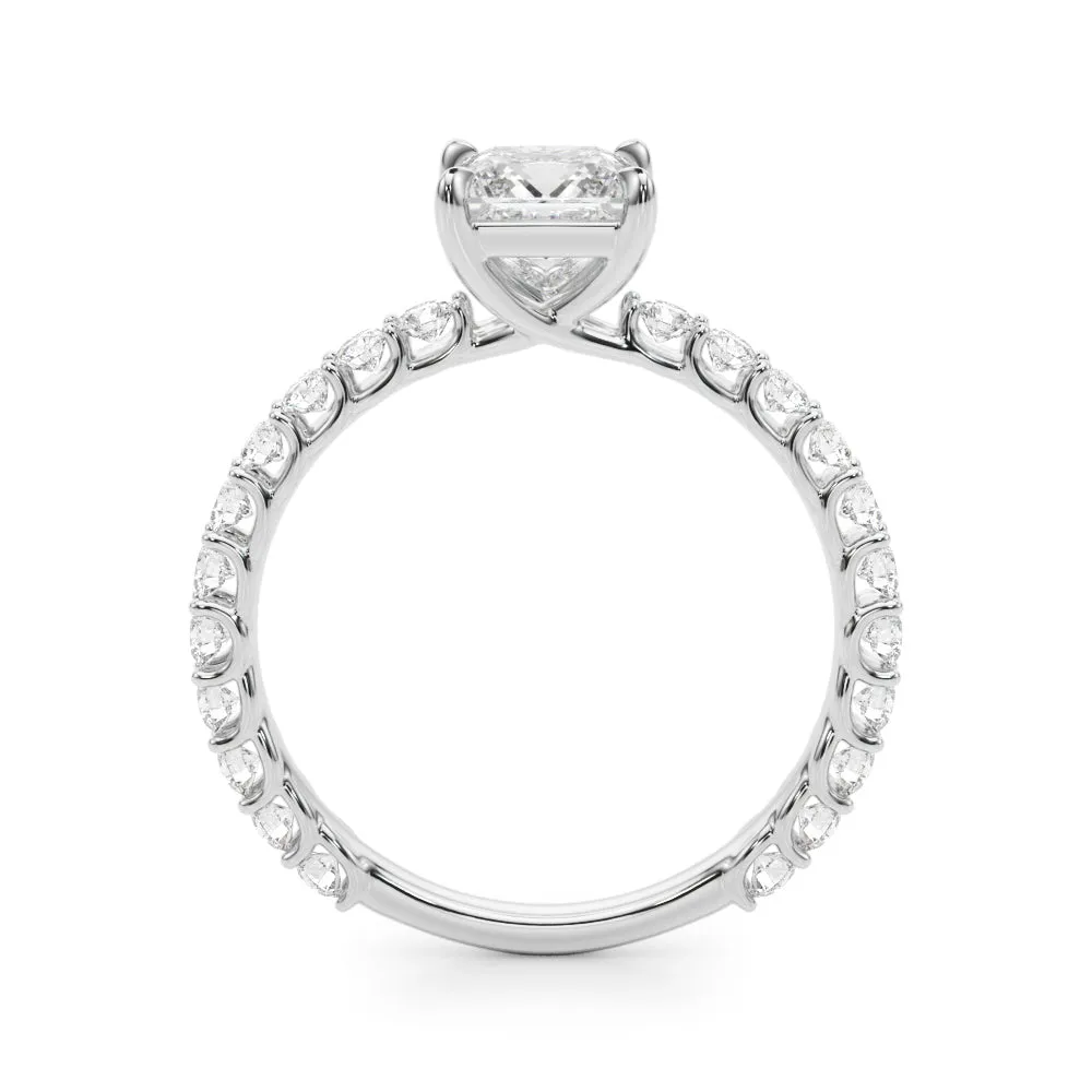 Princess Cut and Twenty-Two Round Diamond Row Mounting