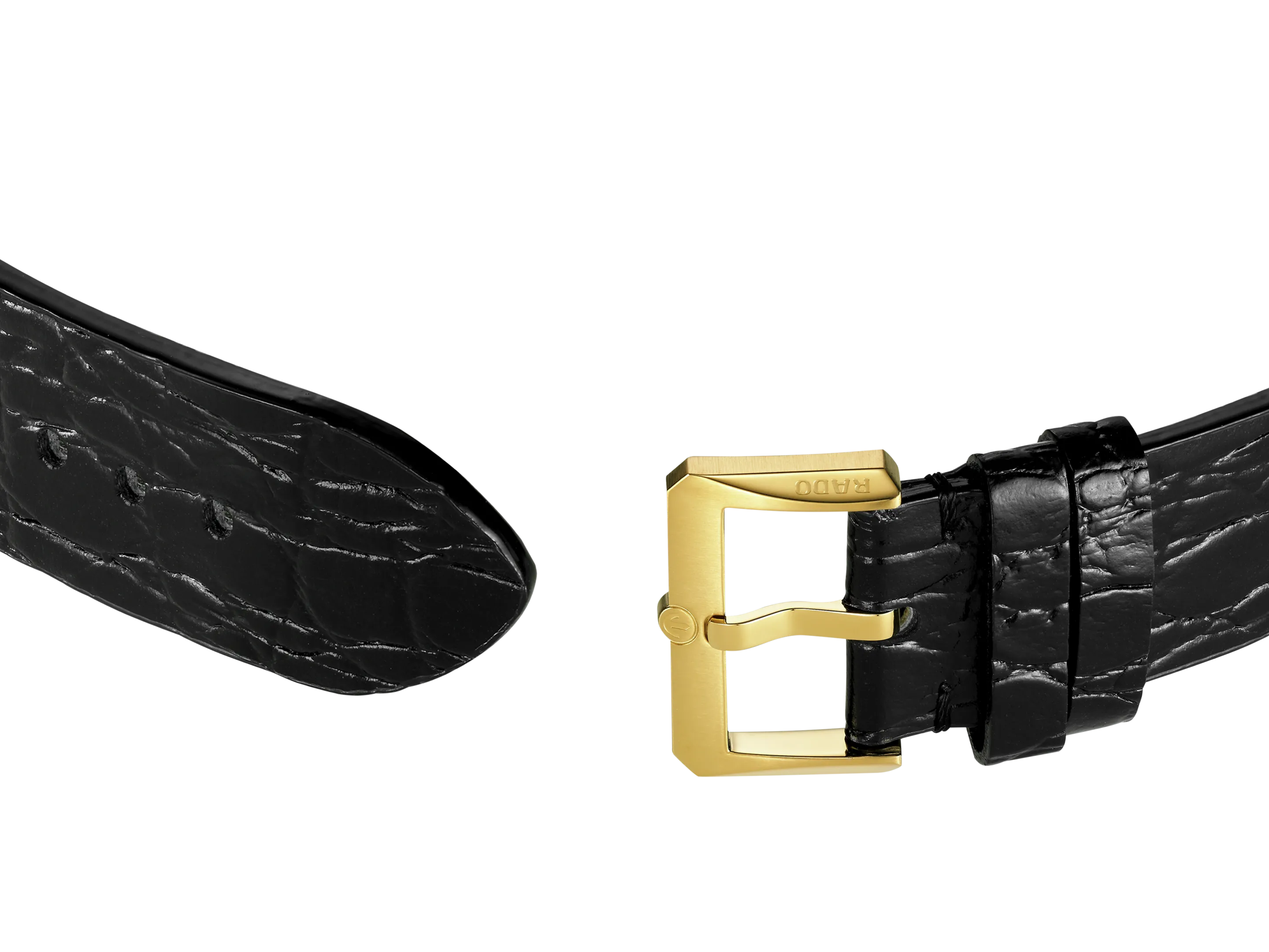 Rado - Captain Cook Automatic - R32117708 - 787394